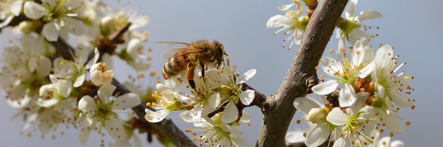 News und Inspiration für den Frühling aus Österreich
